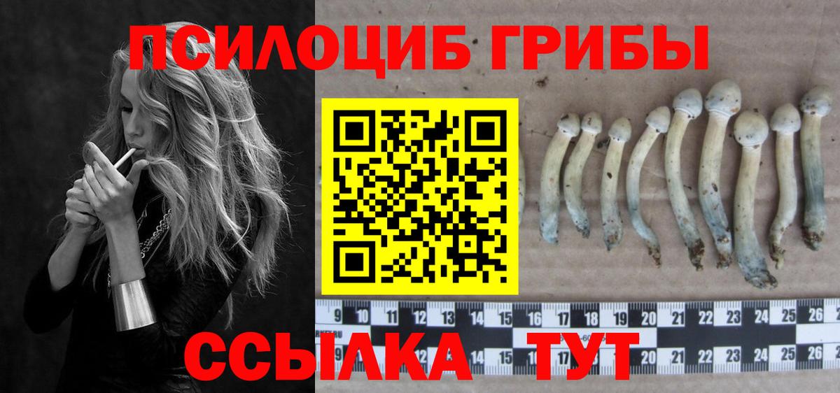 Галлюциногенные грибы MAGIC MUSHROOMS  Галлюциногенные грибы Psilocybine cubensis  Вход с VPN  Черкесск 